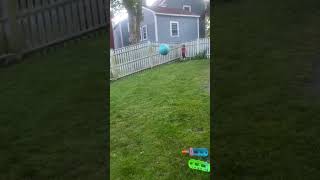 Little boy in red shirt gets hit on head by exercise ball behind fence in backyard