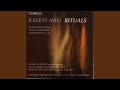 Miniature de la vidéo de la chanson Symphony No. 14 "Rituaaleja": Interludi I