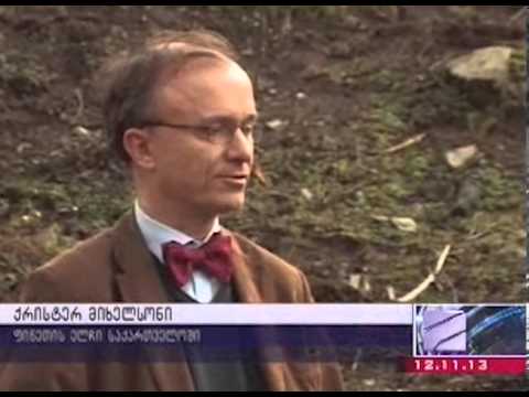 ტყეების აღდგენის პროექტი