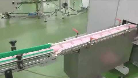 300PPM high speed Soap carton box auto- packaging machine line. Soap bar Cartoner packing machine