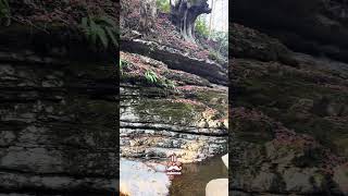 Kudavas Şelalesi, Tonyatrabzon