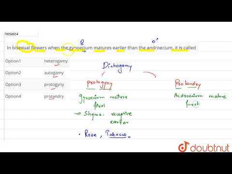 Video: Wanneer androecium voor gynoecium ryp word, word dit genoem?