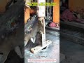 Metal Bending — best manual forming replaced by innovative precision