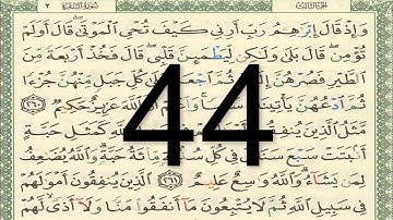 القرآن الكريم - أيمن سويد الصفحة 44