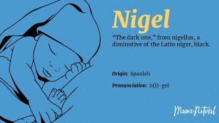 The Red Dragon Prophecys’ About Me? When They Called Me Nigel Meant? “The N Word Or Black Dragon?”