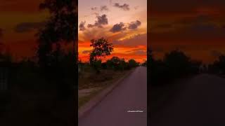 Xece - Şox U Şenge