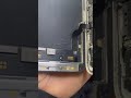 iPhone 13 green display ￼