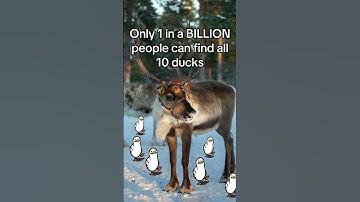 Only 1 in a BILLION people can find all 10 ducks🙏 Comment Your score! #braintest #christmas #iqtest