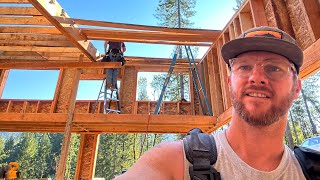 Building my Shop from Scratch (Like Trees!)