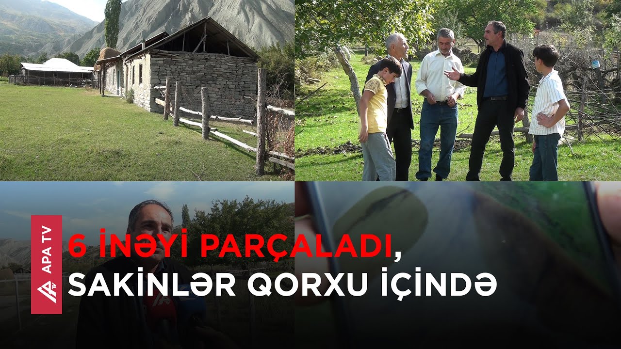 Qubada ayılar kəndə hücum etdi – APA TV