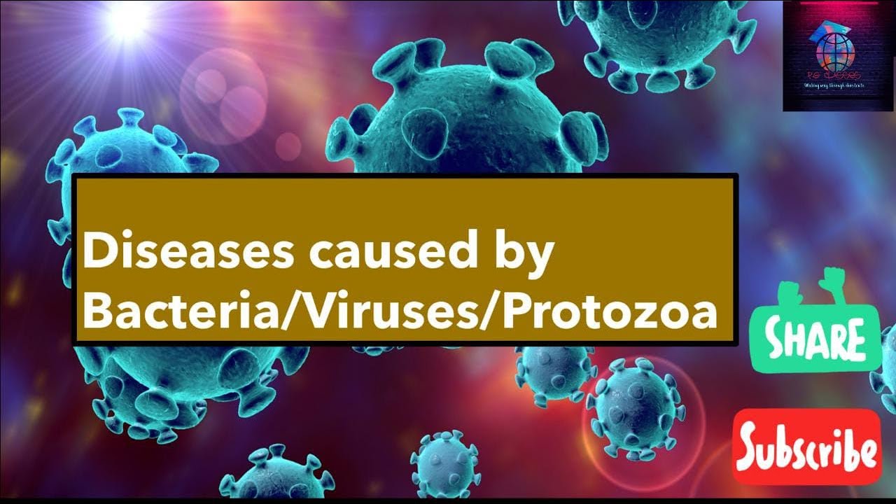 Diseases Caused by Bacteria 🦠, Virus 🦟,Fungus and Protozoa - YouTube