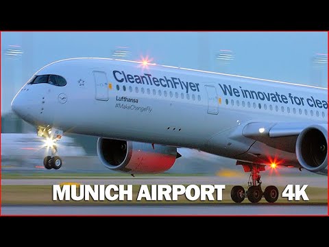Aviation Munich Plane