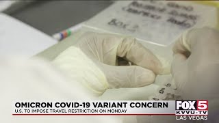 Omicron COVID-19 variant raises concerns about international travel