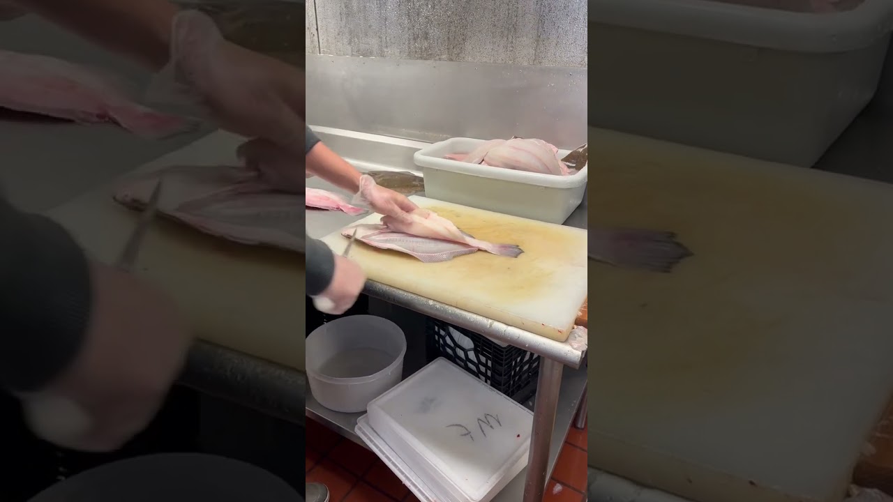 Filleting a fluke 