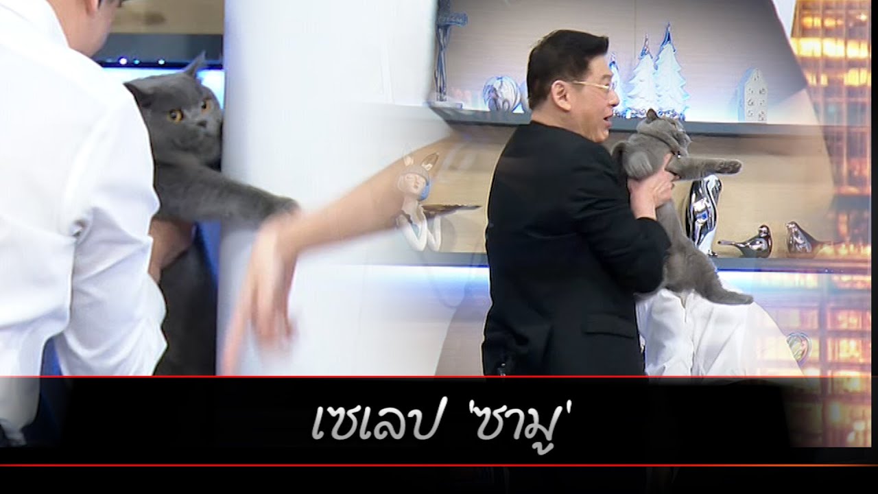 เซเลป 'ซามู'
