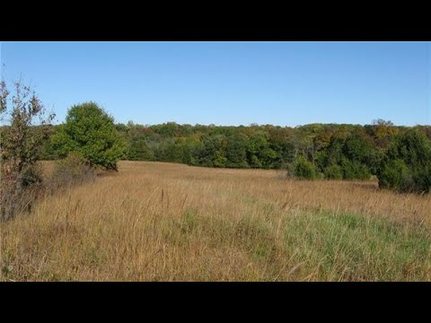 330 Kingman Road, Quenemo, KS home video tour