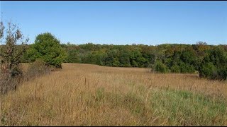 330 Kingman Road video tour