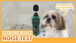 Noise Test | PEPE Pet Dry Room