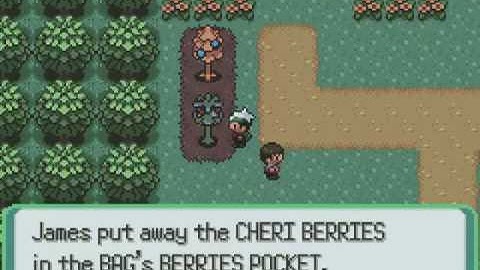 Pokemon Emerald - The Road to Rustboro City! (Part 004)