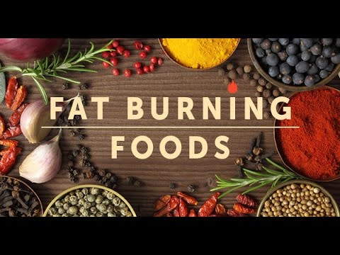28 Day Keto Diet Plan Free Lvinelli Leslie Snsone Mile Ft Burning Wlk Fre Gastroparesis Diet Menu