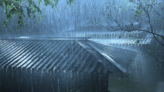 Goodbye Stress to Deep Sleep in 3 Minutes with Heavy Rain \& Thunderstorm Sounds on Tin Roof at Night