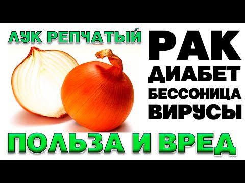 ЛУК РЕПЧАТЫЙ - ПОЛЬЗА И ВРЕД (ЧТО ТАИТ В СЕБЕ ЖАРЕНЫЙ ЛУК)