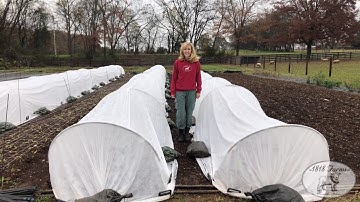 Steps to Building a Caterpillar Tunnel - Part 2