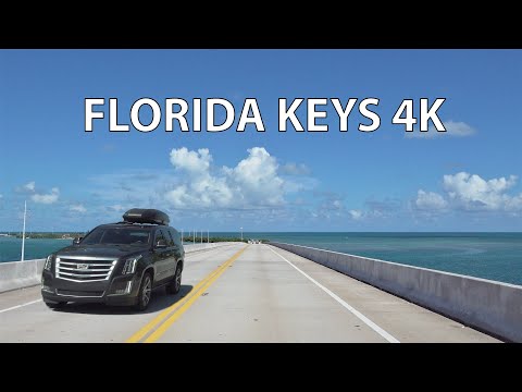 Vídeo: Calen Balenes Atrapades A Florida Keys, Calen Voluntaris