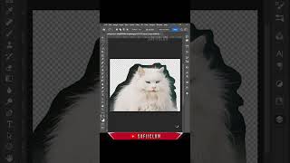 FUR BACKGROUND REMOVE IN PHOTOSHOP BETA #shorts