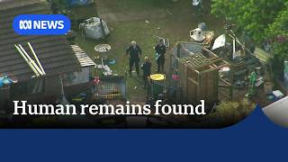 Human remains found under cubby house in Logan backyard ABC NEWS