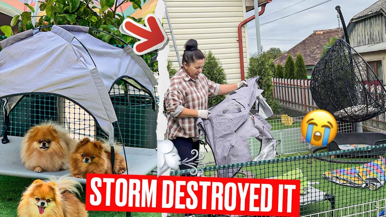 Storm DESTROYED our pomeranian kennel | The wind took everything | Cleaning up after the chaos