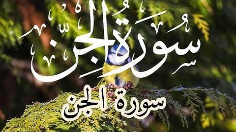 Surah Al-Jinn ("The Jin") Full | By Qari Shah Nasim Saheb | With Arabic mp3 سورة الجن -72 ||