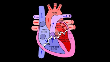 Cosa significa insufficienza mitralica e tricuspidale?