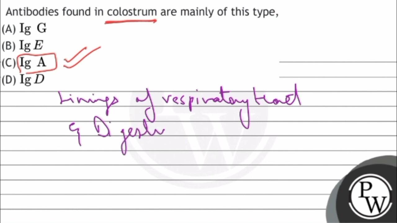 Antibodies found in colostrum are mainly of this type, (A