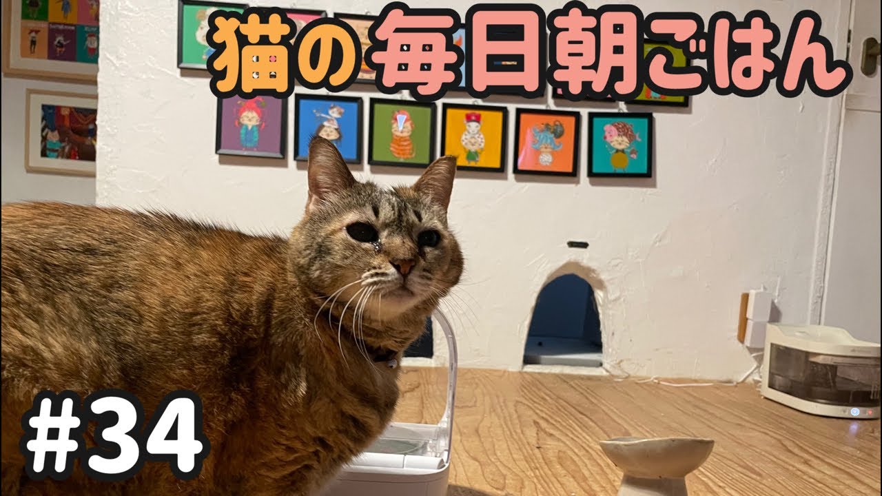 続き【#34】 2026.2.28