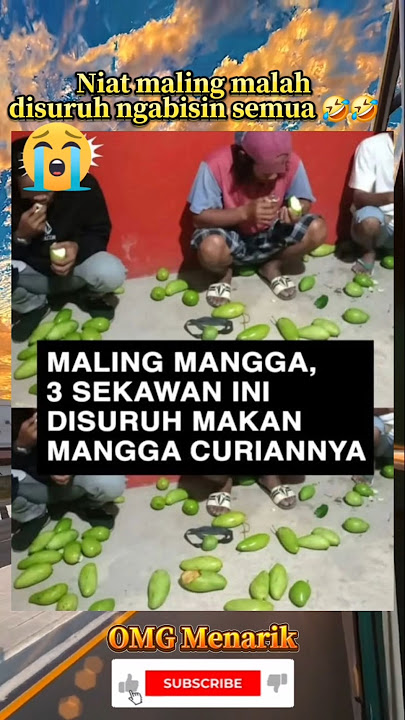 Maling Mangga malah disuruh makan 1 pohon mangga #shorts #viralvideo ##funny #lucu
