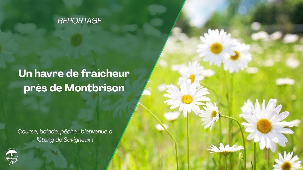 L'étang de Savigneux : le coin nature préféré des Ligériens ?