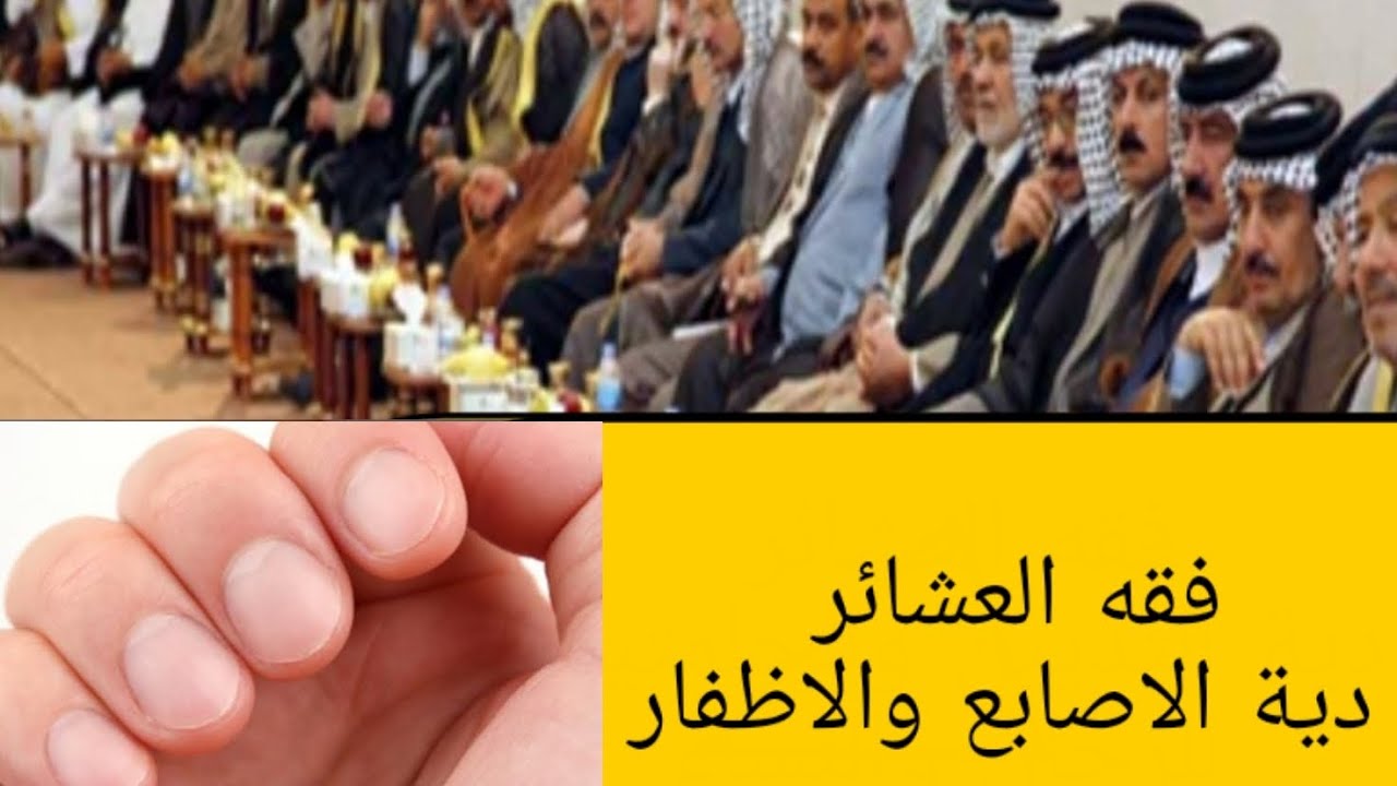 012 فقه العشائر/ دية قطع الاصابع وقلع الأظافر