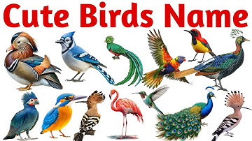 प्यारे पक्षियों के नाम | 20 Cute Birds for Kids | Bird Names in English with Sounds & Pictures