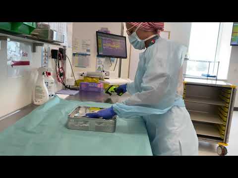 Vidéo: Spay It Forward: Alternatives Chirurgicales à La Simple Stérilisation