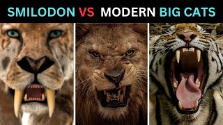 How Strong Was A Smilodon Compared To Modern Big Cats? Saber-Toothed Cat Vs Lion, Tiger, Leopard