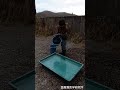 猛禽類医学研究所が環境省に代わって飼育費を賄っているオジロワシとオオワシは合計50羽。マンスリーサポーターの数が少しずつ増えているため、今日は泳いでいるマスを捕らせて飼育ストレスの軽減を試みました。