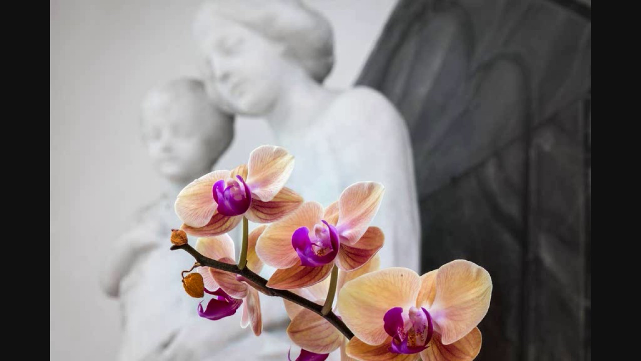 Ave Maria Text - Austrian version of the lyrics of Ave Maria - YouTube