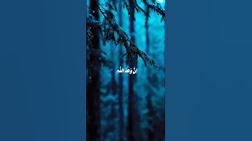 ﴿إن وعد الله حق فلاتغرنكم الحياة الدنيا﴾ _ ترتيل خاشع لأواخر _سورة_لقمان _ لفضيلة الش(