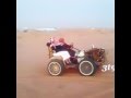 شيبان آخر زمن