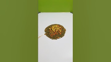 Back to the Beginning. #reverse #reversefilming #reversemotion #asmr