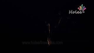 HL2049 6Z