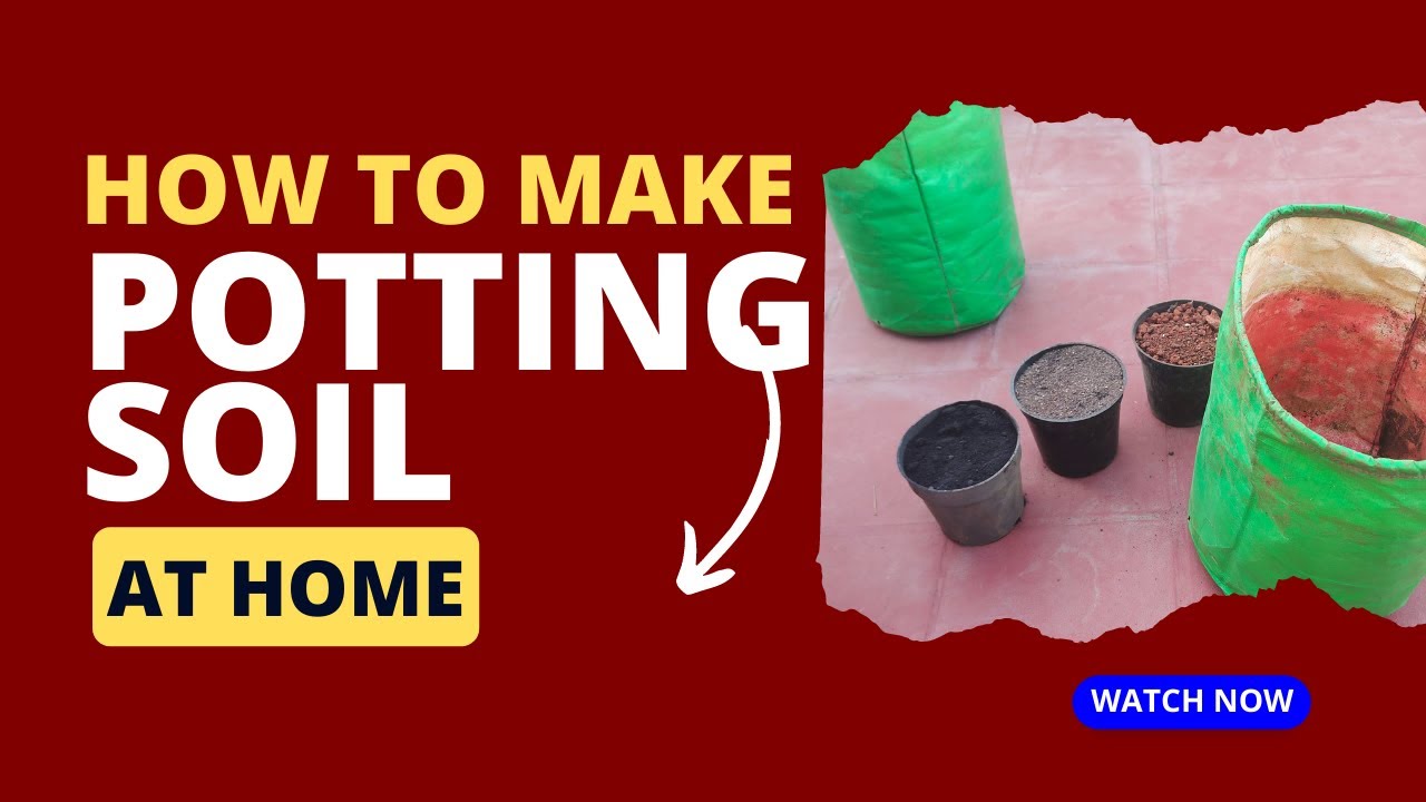 How to prepare potting soil at home (SECRET INGREDIENT) - YouTube