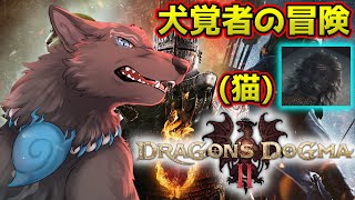 【ドラゴンズドグマ2】＃7　潜入！覚者王即位の宴！🏰🐺💨【Dragon's Dogma2】【津軽弁狛犬Vtuber】