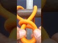 useful tricks#knot #rope #a #diy #camping #outdoor #tutorial